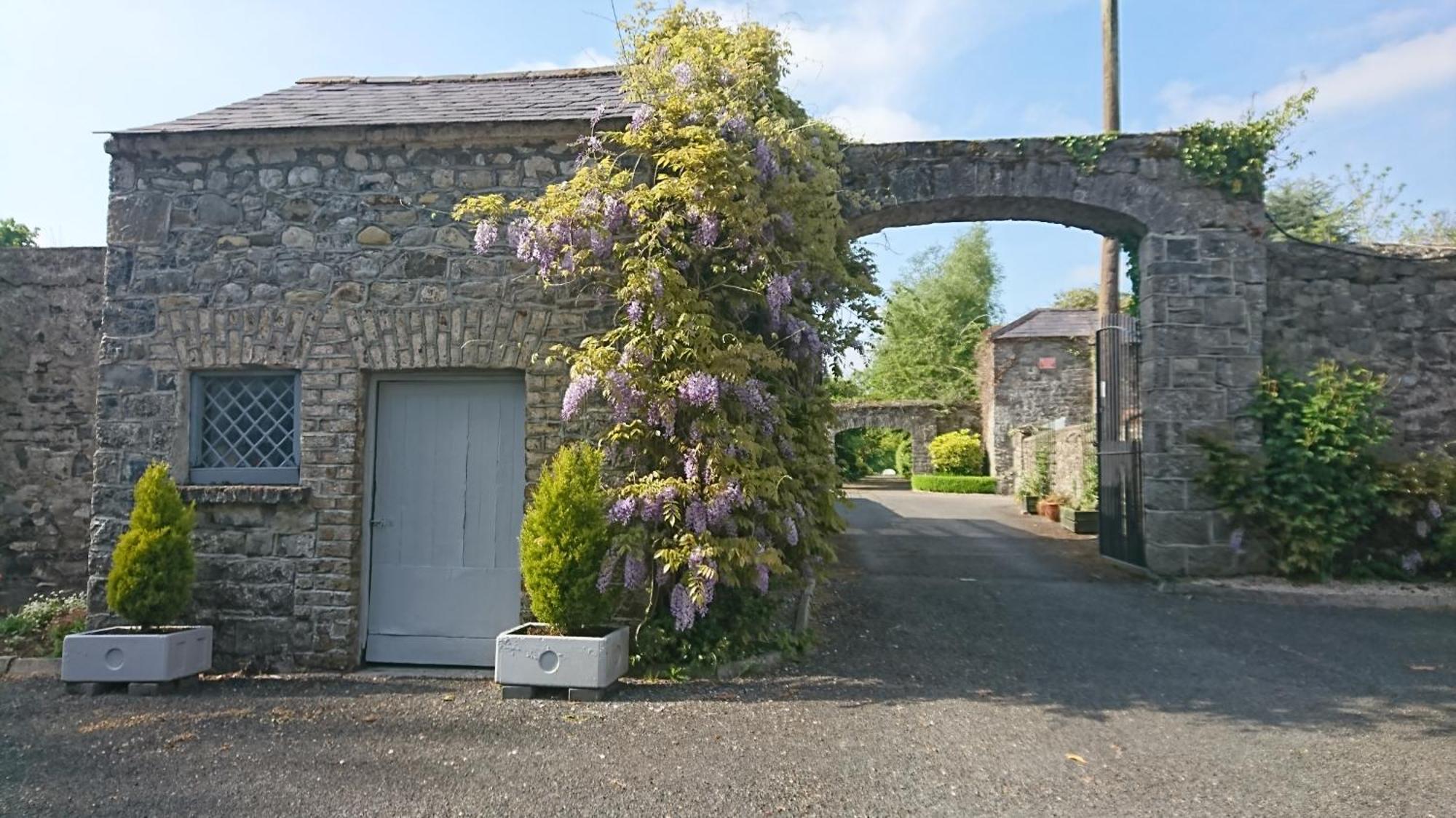 Leixlip Manor Hotel Экстерьер фото
