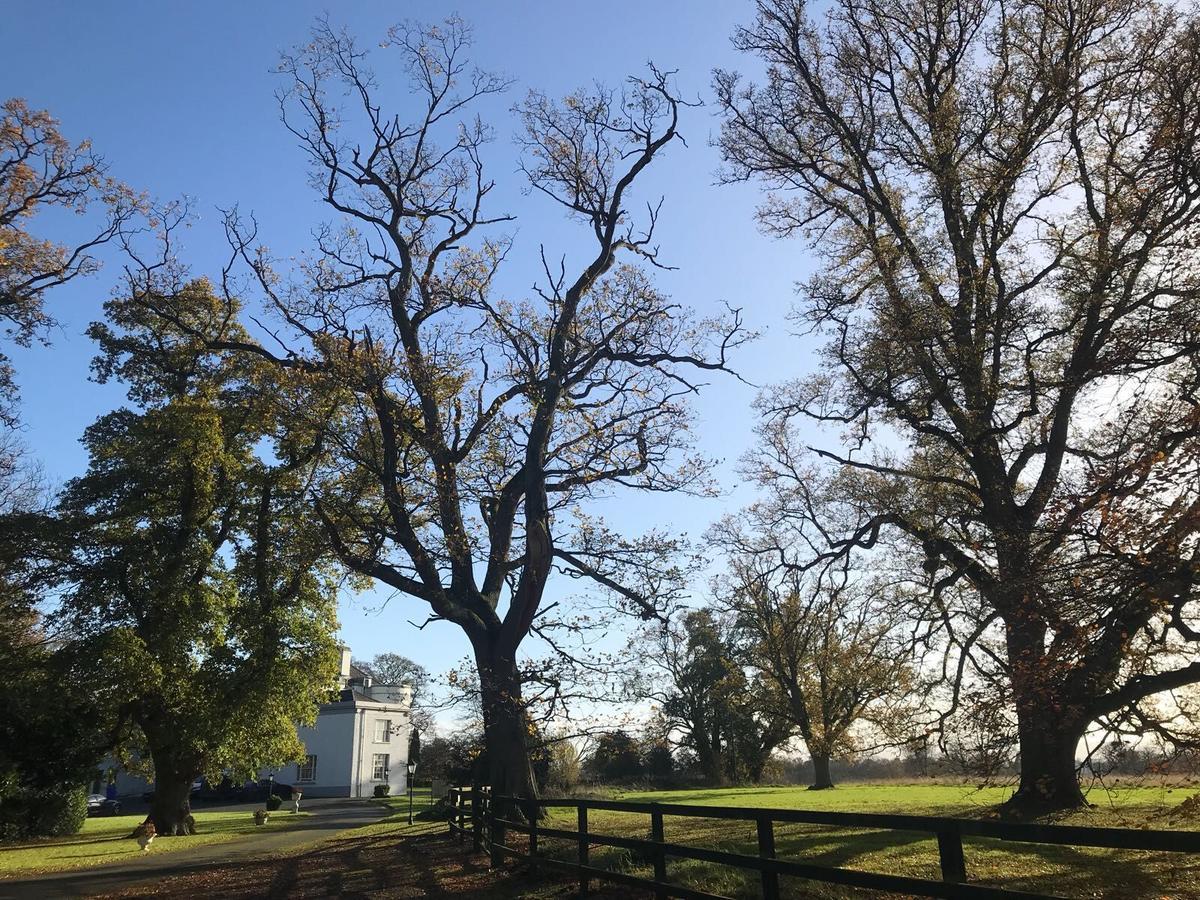 Leixlip Manor Hotel Экстерьер фото